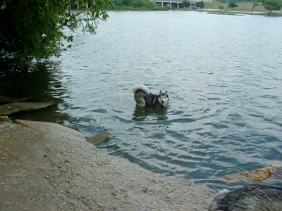 Dog Park Aug 31 2007 06.JPG